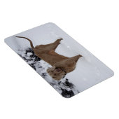 Mooie Weimaraner in de sneeuw Magneet (Rechterzijde)