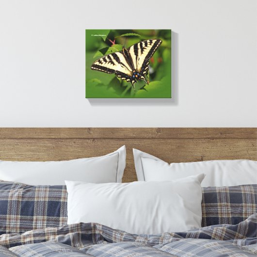 Mooie Westerne tijger Swallowtail Butterfly Canvas Afdruk (Insitu (Slaapkamer))