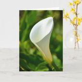 Mooie White Calla Lily Flower Note Kaart (Gele Bloem)