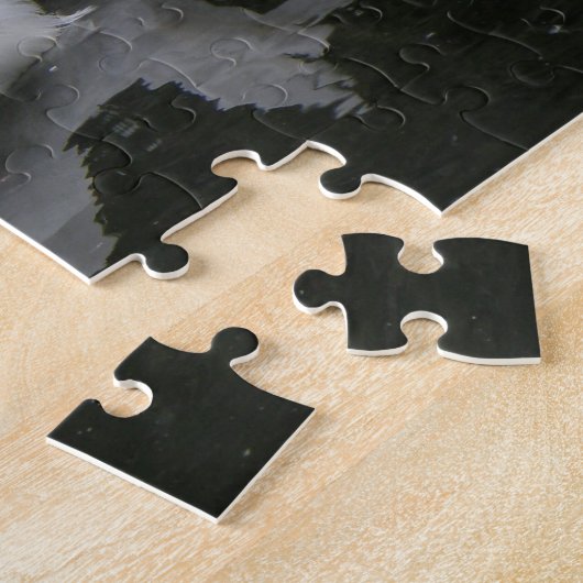 Mooie White Swan Puzzle Legpuzzel (Zijkant)