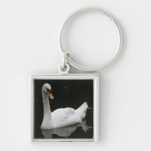 Mooie White Swan Sleutelhanger