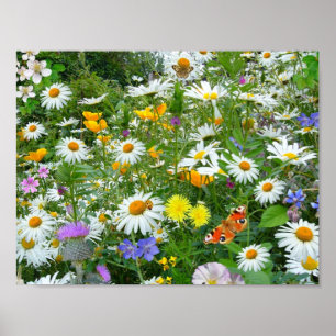 Mooie wilde bloem en vlindermeadow poster