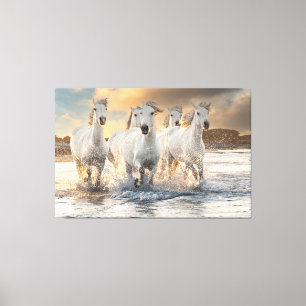 Mooie wilde paarden canvas afdruk