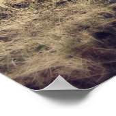 Mooie wilde paarden poster (Hoek)