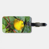 Mooie Wilson's Warbler in de Cherry Tree Bagagelabel (Achterkant horizontaal)