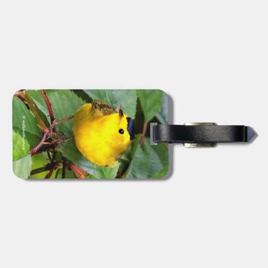 Mooie Wilson's Warbler in de Cherry Tree Bagagelabel (Achterkant horizontaal)