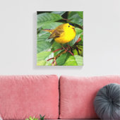 Mooie Wilson's Warbler in de Cherry Tree Canvas Afdruk (Insitu (Woonkamer))