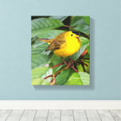 Mooie Wilson's Warbler in de Cherry Tree Canvas Afdruk (Insitu (Houten vloer))