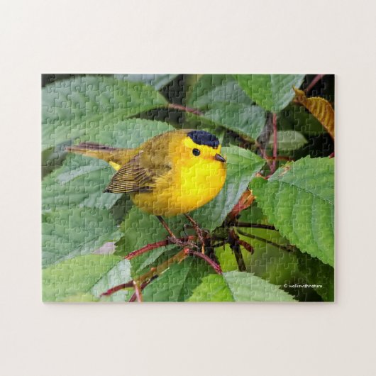 Mooie Wilson's Warbler in de Cherry Tree Legpuzzel (Horizontaal)