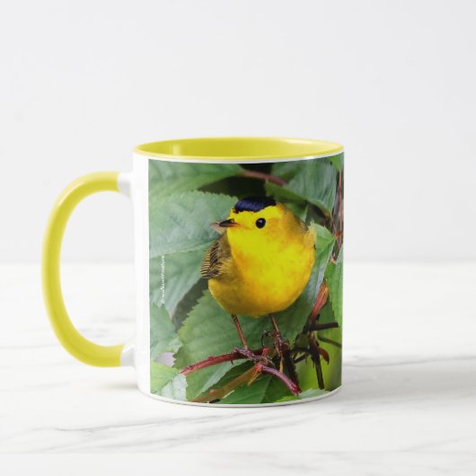 Mooie Wilson's Warbler in de Cherry Tree Mok (Links)