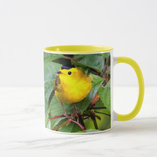 Mooie Wilson's Warbler in de Cherry Tree Mok (Rechts)