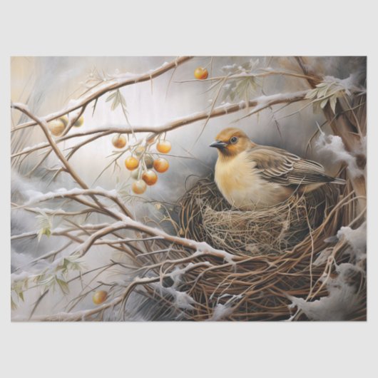 Mooie Winter Vogel Decoupage Tissue Paper Tissuepapier (Voorkant)