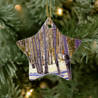 Mooie winterasperen in paarsgroenblauw wit keramisch ornament