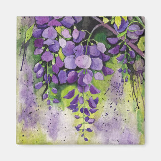 Mooie wisterbloemen in de Waterverf Magneet