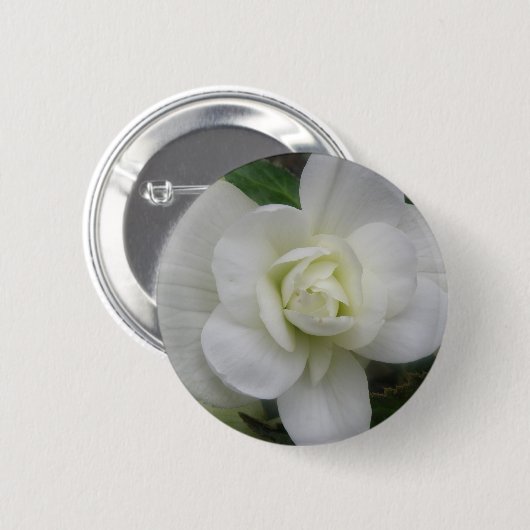 Mooie witte anjer Button (Voorkant /achterkant)