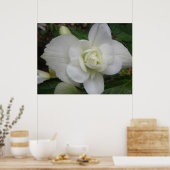 Mooie Witte Anjer Print (Keuken)