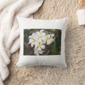 Mooie witte bloemen, Plumeria, kussen (Deken)