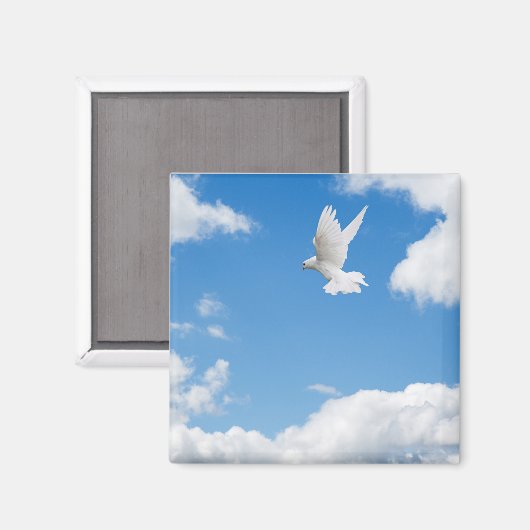 Mooie witte duif hoog magneet (Voorkant / Achterkant)