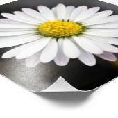 Mooie witte en gele maaltijd foto afdruk (Hoek)