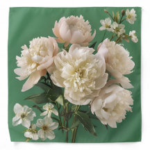 Mooie witte en roze pioenrozen op een groene achte