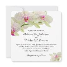 Mooie witte en warme roze orchideeën