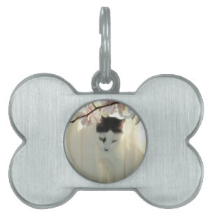 Mooie witte en zwarte kat huisdieren naamplaatje