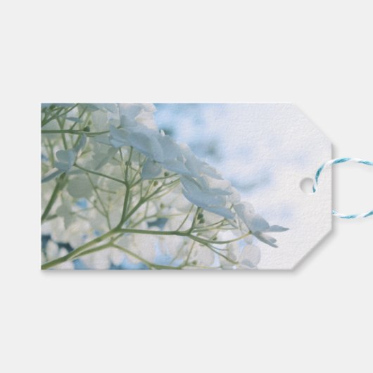 Mooie witte Hydrangea Blooms Highkey Cadeaulabel (Voorkant (Horizontaal))