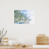 Mooie witte Hydrangea Blooms Highkey Poster (Keuken)