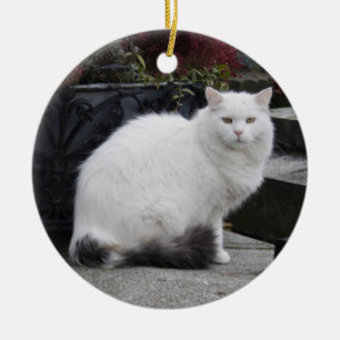 Mooie witte kat op een grave keramisch ornament