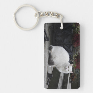 Mooie witte kat op een grave sleutelhanger