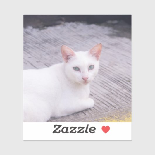 Mooie witte kat sticker (Vel)