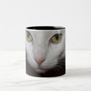 Mooie witte kat tweekleurige koffiemok