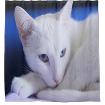 Mooie Witte Kat/Voeg een foto van je huisdier toe