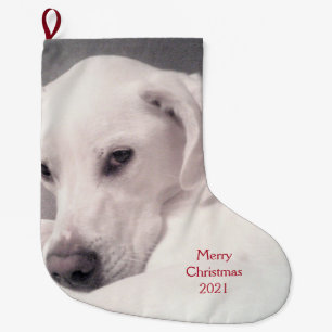 Mooie witte labrador mix puppy dog grijs grote kerstsok