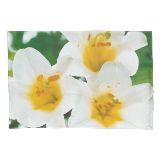 Mooie witte leugens - Lilium candidum Kussensloop (Voorkant)