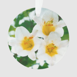 Mooie witte leugens - Lilium candidum Ornament