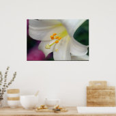 Mooie witte Lily Poster (Keuken)