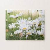 Mooie witte madeliefjes | Bloemen in Groen Veld Legpuzzel (Horizontaal)