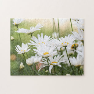 Mooie witte madeliefjes Bloemen in Groen Veld Legpuzzel