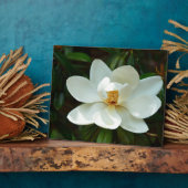 Mooie witte Magnolia Flower Fotoplaat (Zijkant)