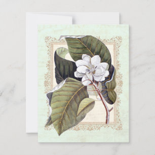 Mooie witte Magnolia formele diner partij Kaart