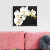 Mooie witte orchidee met zwarte achtergrond canvas afdruk (Insitu (Woonkamer))