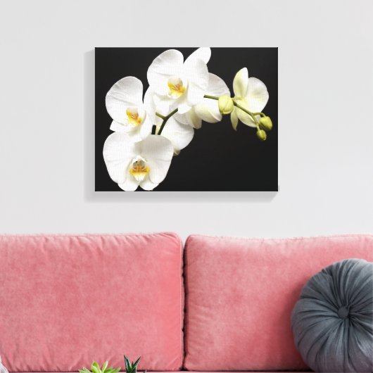 Mooie witte orchidee met zwarte achtergrond canvas afdruk (Insitu (Woonkamer))