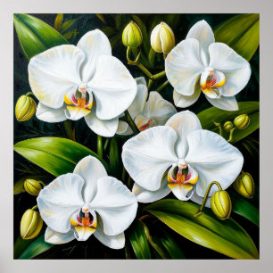 Mooie Witte Orchideeën Luxe Decoratie & Cadeau