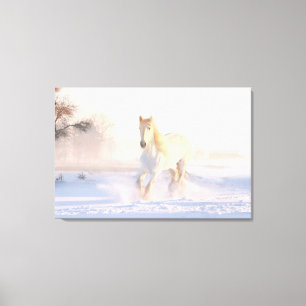 Mooie Witte Paard Canvas Afdruk