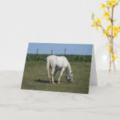 Mooie witte paard staande in veld blanco kaart (Gele Bloem)