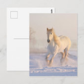 Mooie witte paarden die in de sneeuw lopen briefkaart (Voorkant / Achterkant)