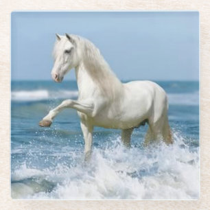 Mooie witte paarden in het water glazen onderzetter