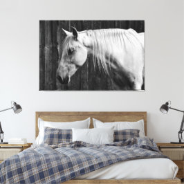 Mooie witte paarden zwart-wit canvas afdruk