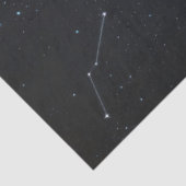 Mooie witte pauw Aurora Borealis Decoupage Tissuepapier (Detail)